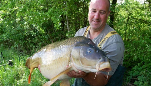 A carp from Jonchery, May 2015