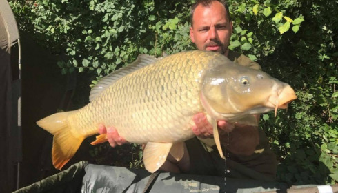 A carp from Jonchery, Aug 2017