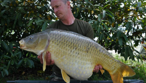 A carp from Jonchery, Swim 1, May 2014