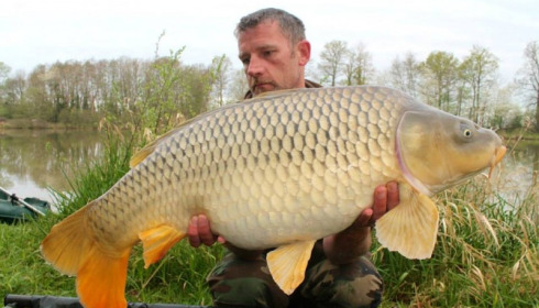 A carp from Jonchery, Swim 2, Apr 2014