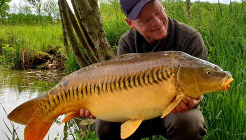 A carp from Jonchery, May 2021