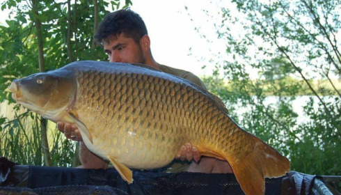 A carp from Jonchery, May 2017