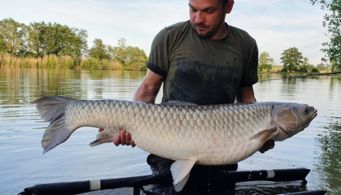 A 48 lb 5 oz fish from Jonchery, Grass carp, Jun 2022