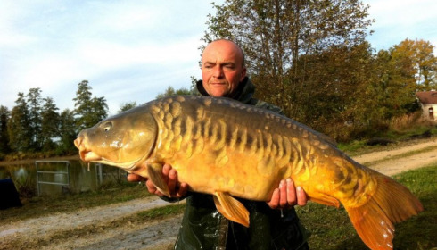 A carp from Jonchery, Nov 2012