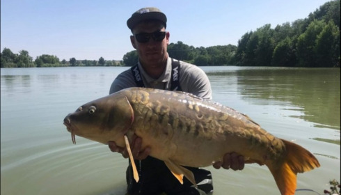 A carp from Jonchery, Jul 2019