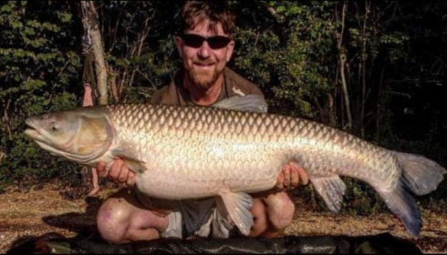 A carp from Jonchery, Jul 2019