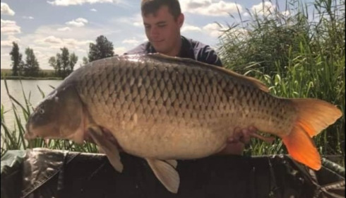 A 60 lb 5 oz carp from Jonchery, Aug 2019