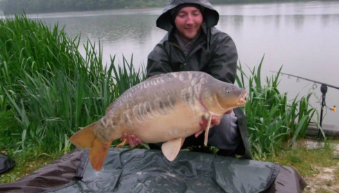A carp from Jonchery, May 2013