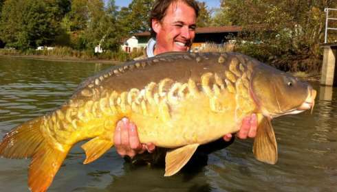 A carp from Jonchery, Nov 2012