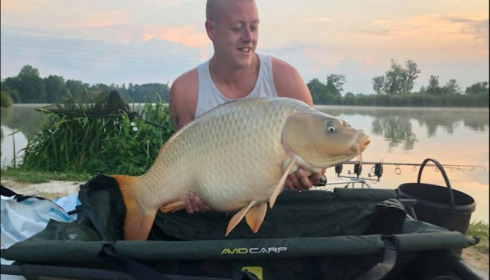 A carp from Jonchery, Jul 2018