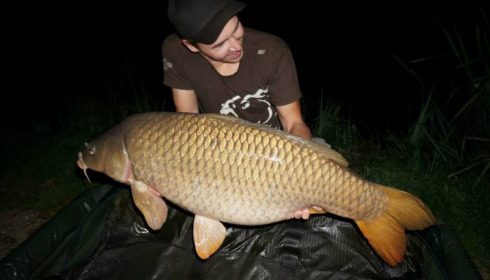 A carp from Jonchery, Oct 2014