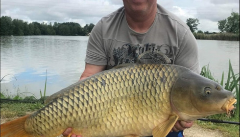 A carp from Jonchery, Jun 2019