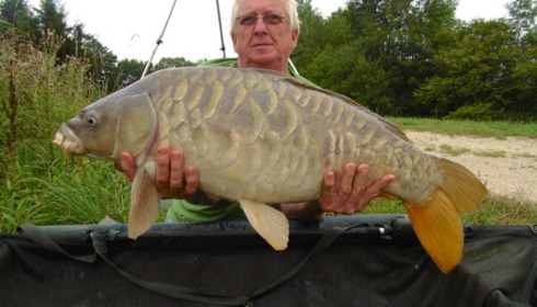 A carp from Jonchery, Jul 2014