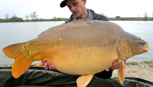 A carp from Jonchery, Apr 2012
