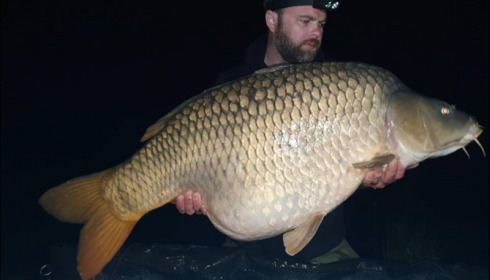 A carp from Jonchery, Apr 2019