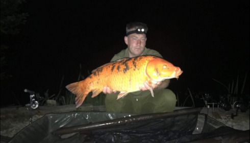 A carp from Jonchery, Jul 2019