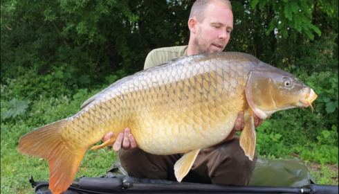 A carp from Jonchery, Jun 2019