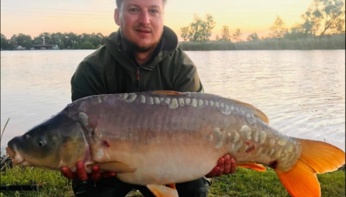 A carp from Jonchery, Jun 2019