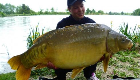 A carp from Jonchery, May 2014