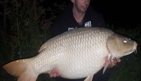 A carp from Jonchery, Aug 2018