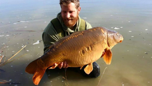 A carp from Jonchery, Nick Cotterill, Mar 2015