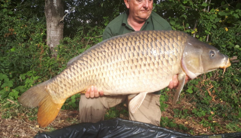 A carp from Jonchery, Aug 2022