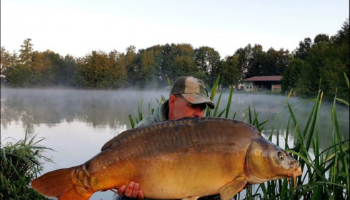 A carp from Jonchery, Sep 2019