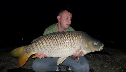A carp from Jonchery, May 2018
