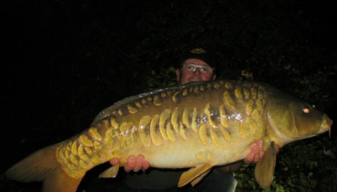 A carp from Jonchery, Sep 2014