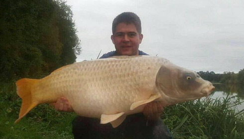 A 50 lb 2 oz carp from Jonchery, Oct 2017