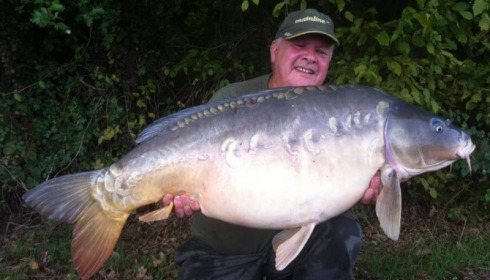 A carp from Jonchery, Sep 2015