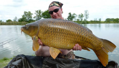 A carp from Jonchery, May 2014