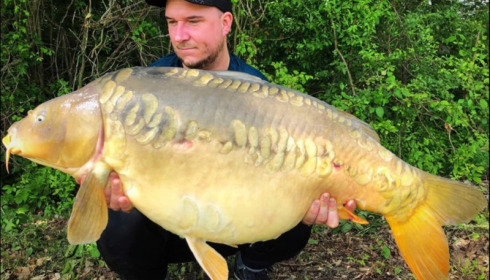 A carp from Jonchery, Jun 2019
