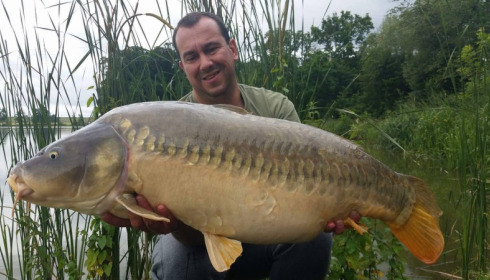 A carp from Jonchery, Jul 2016
