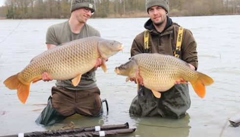 A carp from Jonchery, Mar 2018