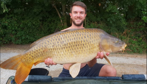 A carp from Jonchery, Jul 2018