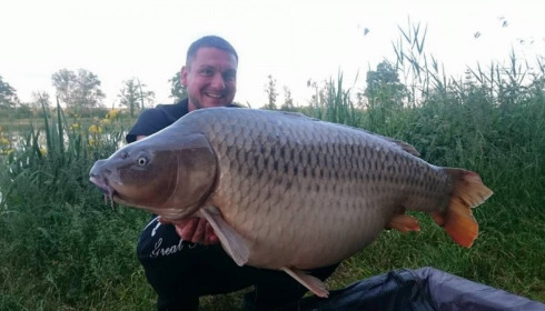 A 52 lb carp from Jonchery, Swim 3, Jun 2015