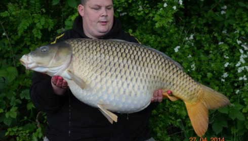 A carp from Jonchery, Swim 6, May 2014