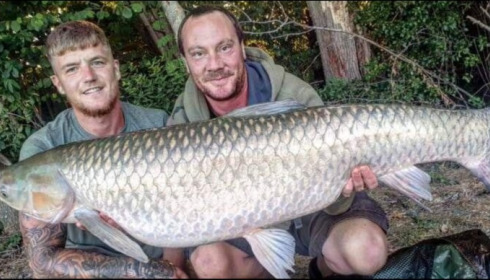 A grass carp from Jonchery, Jul 2019
