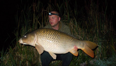 A carp from Jonchery, Sep 2014