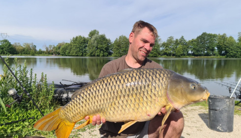 A carp from Jonchery, Jun 2022