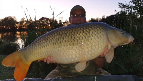 A 46 lb carp from Jonchery, Dave Pillman, Sep 2019
