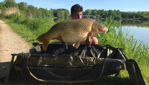 A carp from Jonchery, May 2017