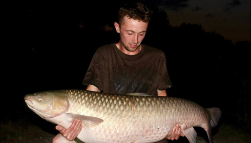 A carp from Jonchery, Jul 2019