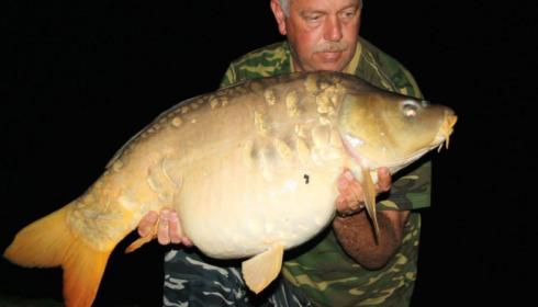 A carp from Jonchery, Apr 2014
