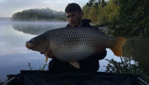 A carp from Jonchery, May 2017