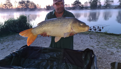 A carp from Jonchery, Jun 2022