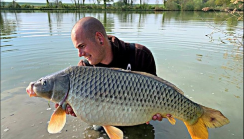 A carp from Jonchery, Apr 2019