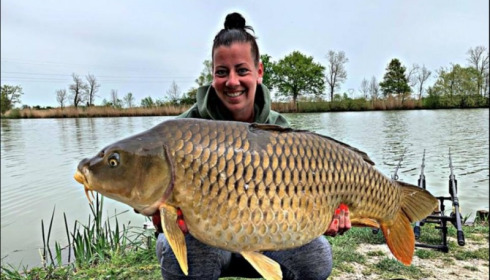 A carp from Jonchery, Apr 2019