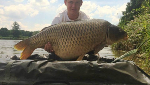 A carp from Jonchery, Jun 2014